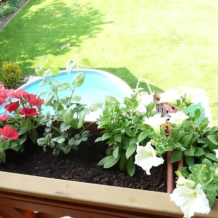 Homestay Privat Inka Liptovsky Mikulas